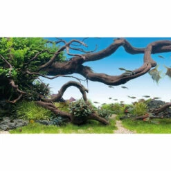 Daytime LED-Rückwand Backlight Für Juwel 14 Daytime LED-Rückwand Backlight Für Juwel -AQUA-POND 24 Negozio daytime led rueckwand backlight fuer juwel5